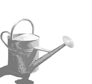 Watering Can transparent